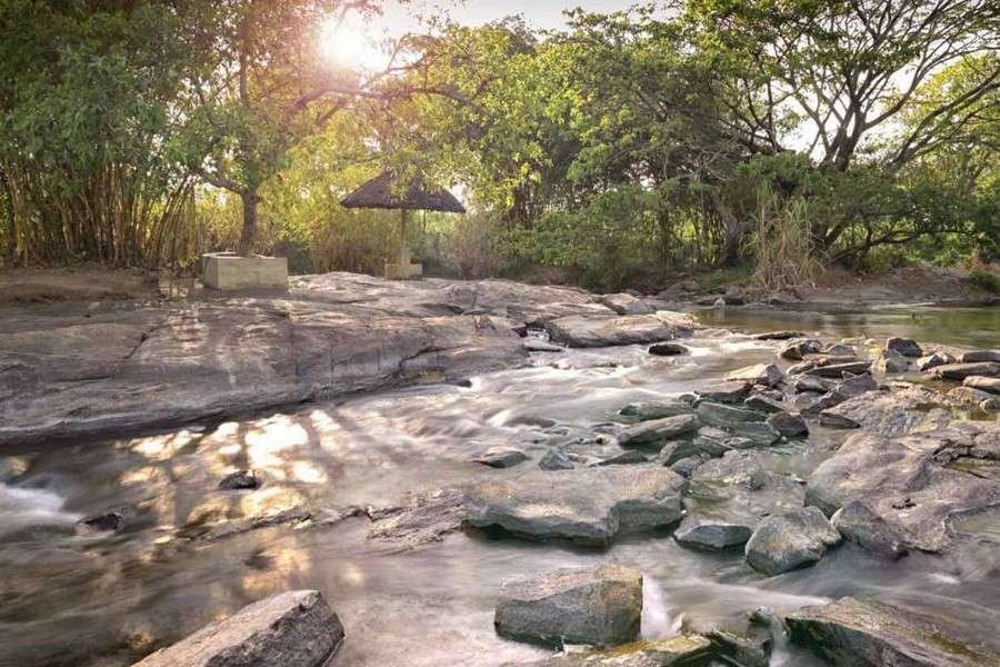 Mysore Yoga TTC Gallery