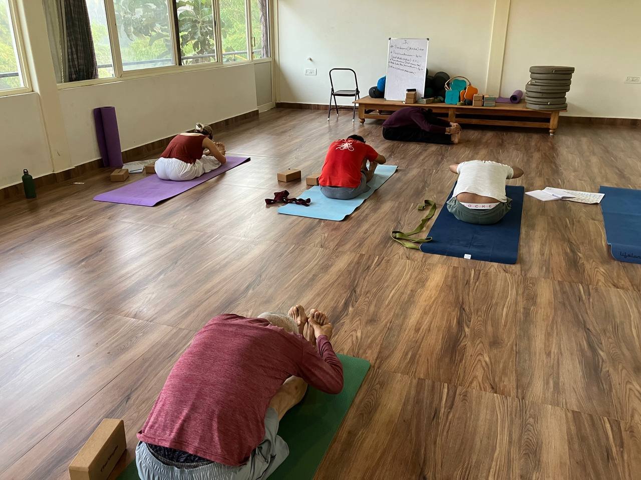 100 hr yoga TTC courses Mysore india