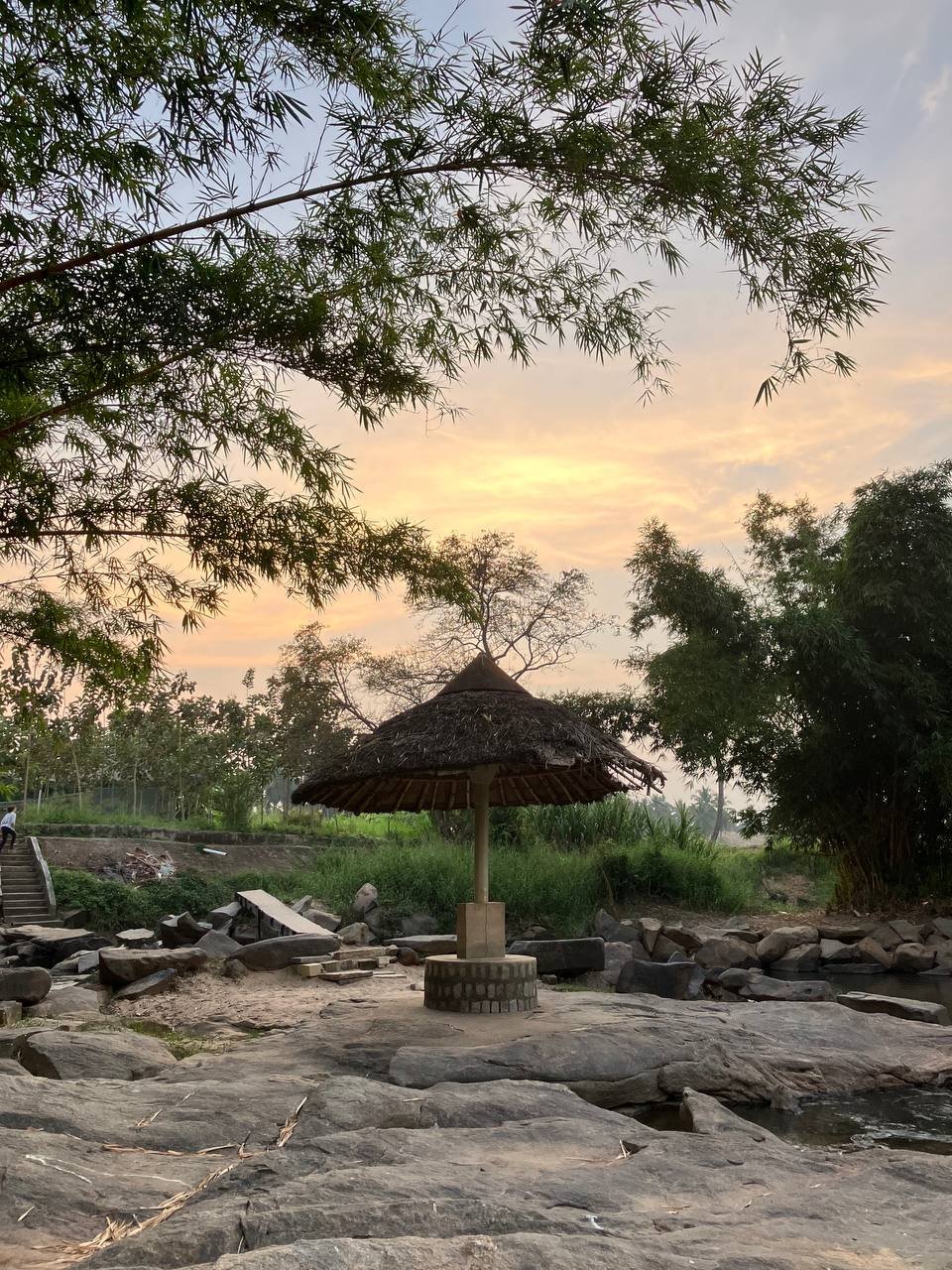 Mysore Yoga TTC Gallery