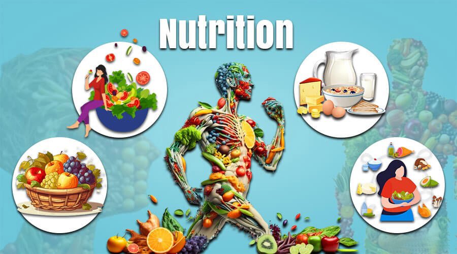 Online Nutrition Course benefits