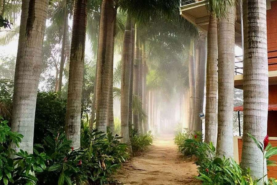accommodation in Mysore